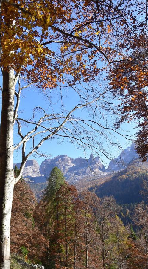 Chalet Brenta Dolomites Madonna Exterior foto